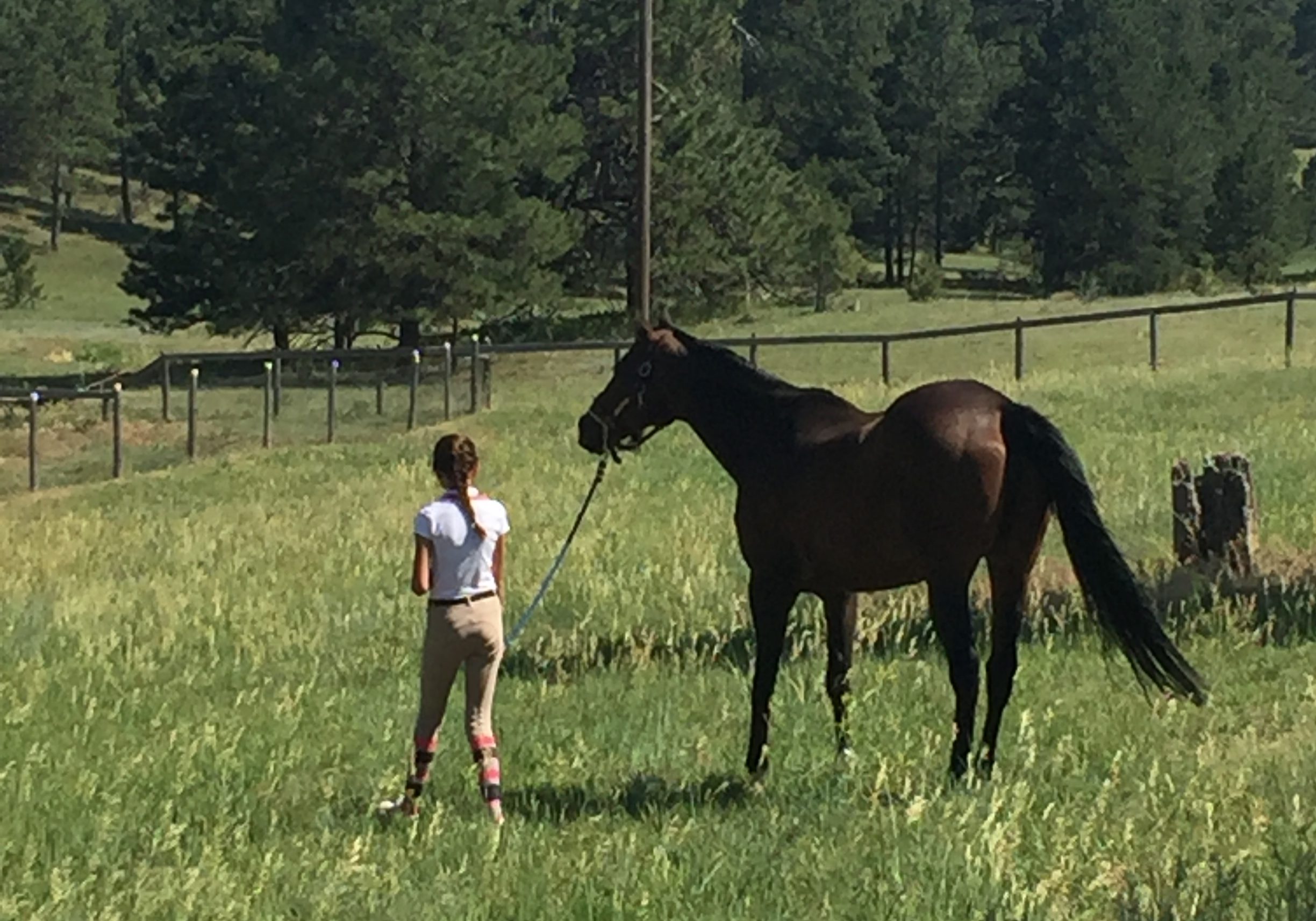 Colorado Equestrian Center Kent Hill Farm